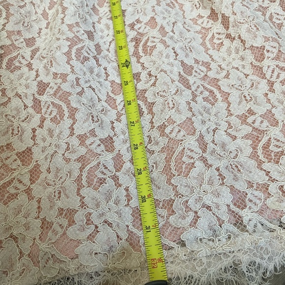 Aritzia Babaton Lace Dress - Picture 6 of 6